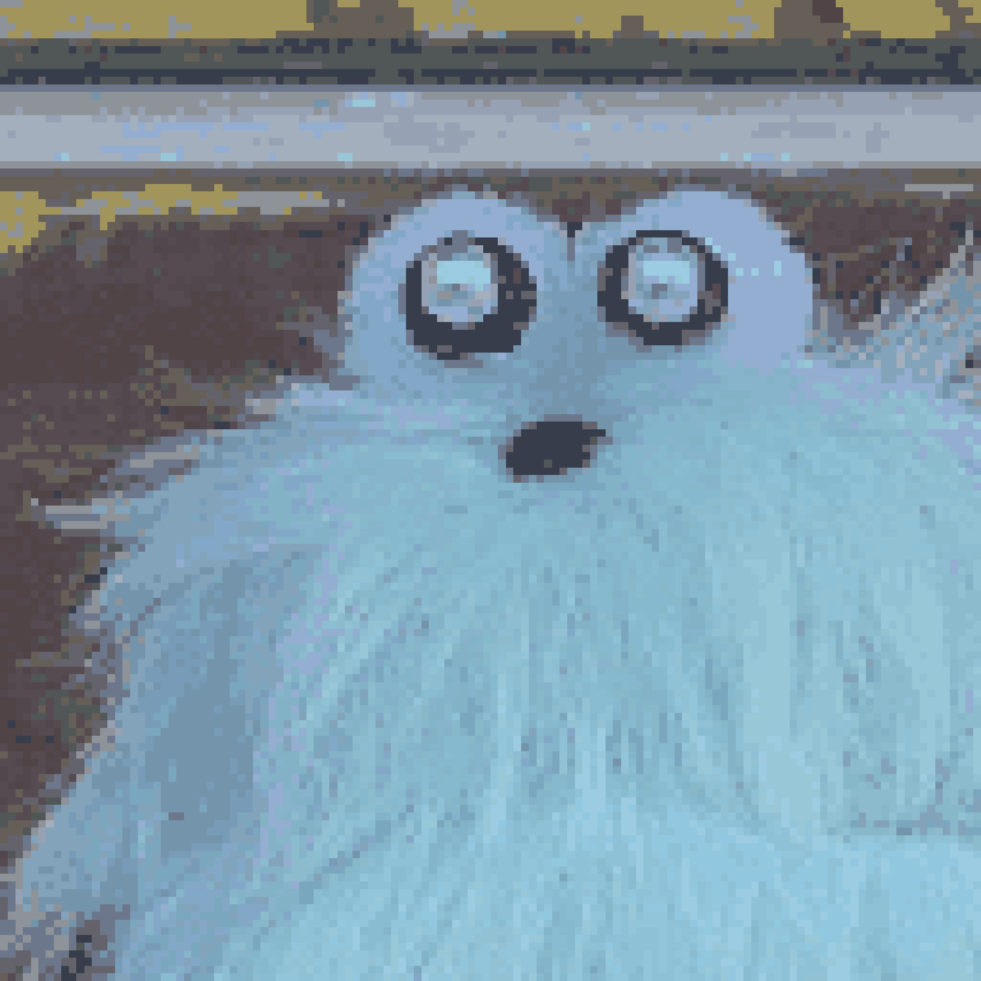 プロフィール写真